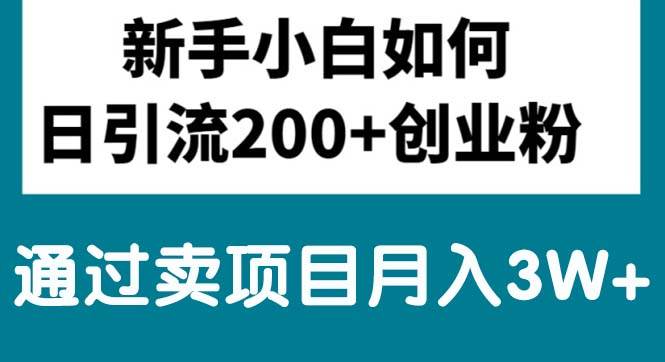 新手小白日引流200+创业粉,通过卖项目月入3W+-佐帆副业网