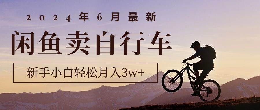 2024年6月最新闲鱼卖自行车，新手小白轻松月入3w+项目-佐帆副业网