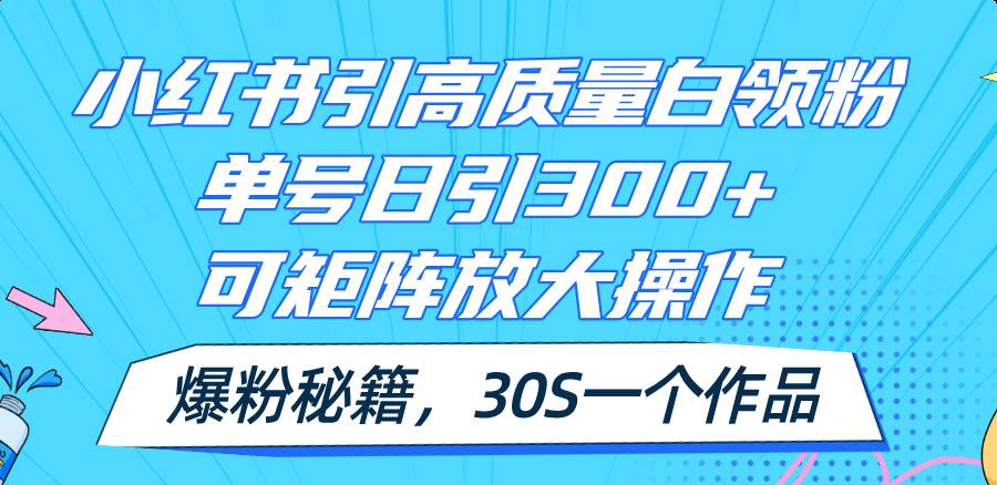 小红书引高质量白领粉，单号日引300+，可放大操作，爆粉秘籍！30s一个作品-佐帆副业网