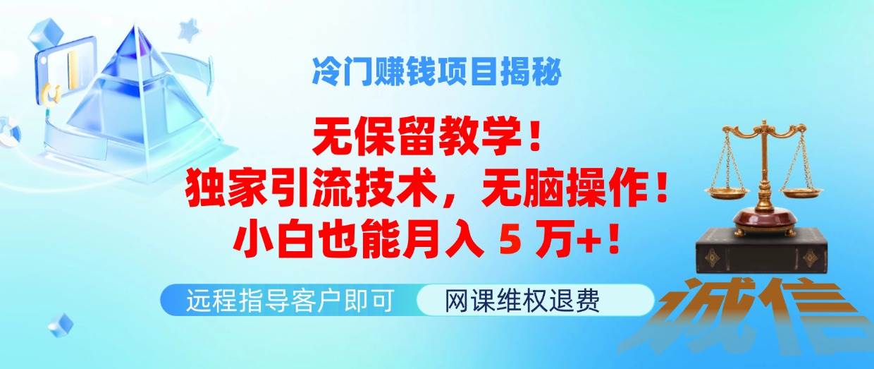 冷门赚钱项目无保留教学！独家引流技术，无脑操作！小白也能月入5万+！-佐帆副业网