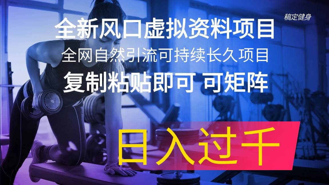 全新风口虚拟资料项目 全网自然引流可持续长久项目 复制粘贴即可可矩阵…-佐帆副业网