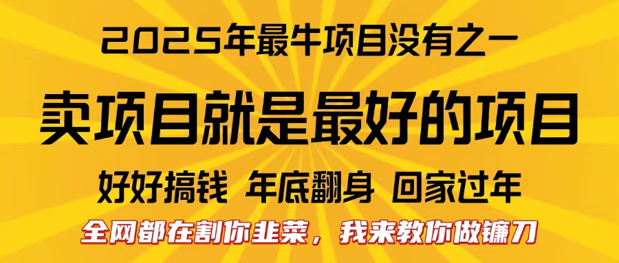 全网都在割你韭菜，我来教你做镰刀。卖项目就是最好的项目，2025年最牛互联网项目-佐帆副业网