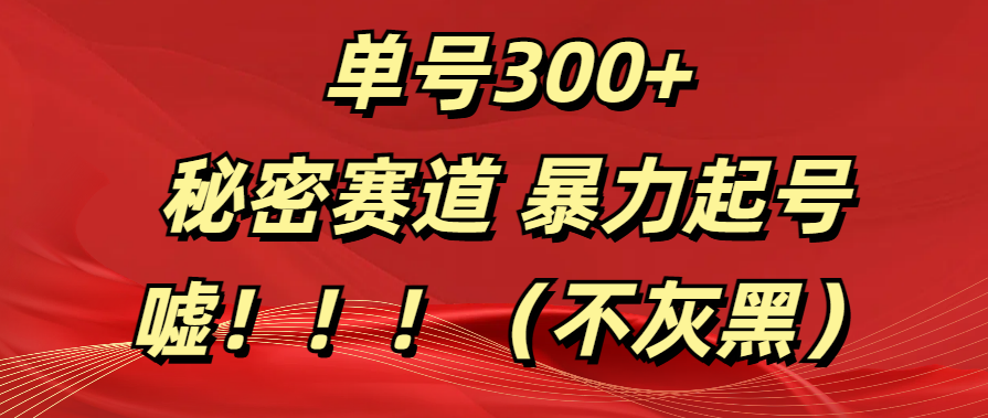 单号300+  秘密赛道 暴力起号  （不灰黑）-佐帆副业网