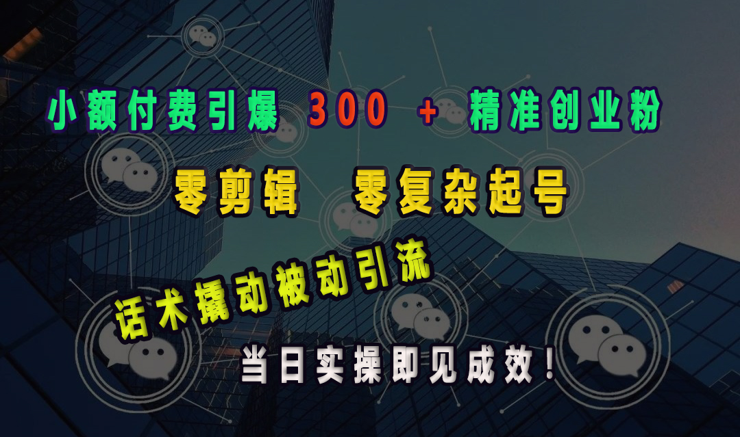 小额付费引爆 300 + 精准创业粉，零剪辑、零复杂起号，话术撬动被动引流，当日实操即见成效！-佐帆副业网