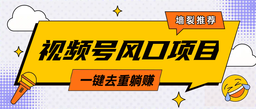 视频号风口蓝海项目，中老年人的流量密码，简单无脑，一键去重，轻松月入过万-佐帆副业网