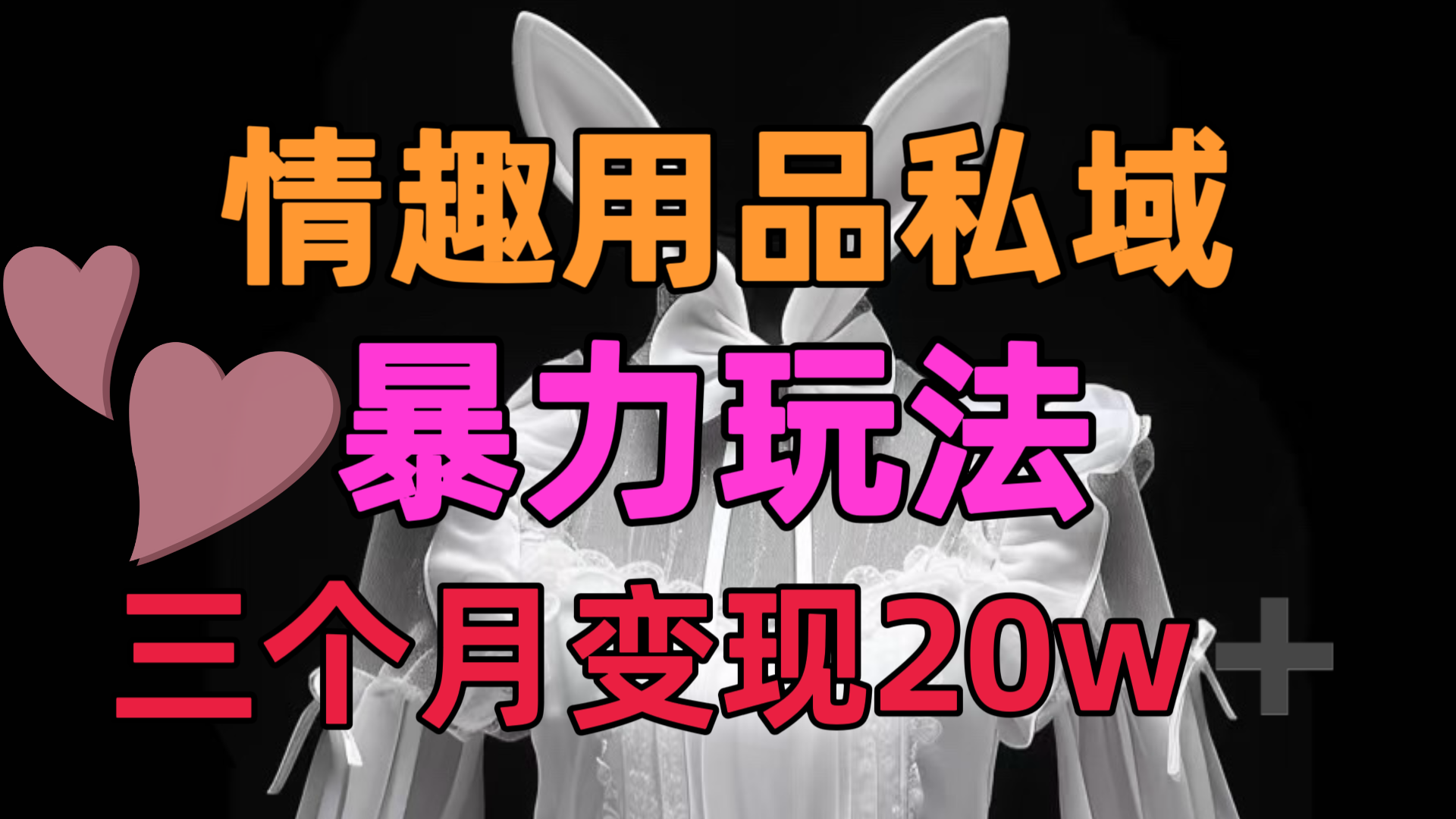 情趣用品私域，25年最新暴力玩法，三个月变现20w➕-佐帆副业网